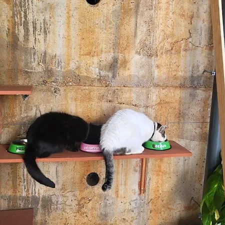 Personal Blue House Madeira Διαμέρισμα Σάντα Κρουζ