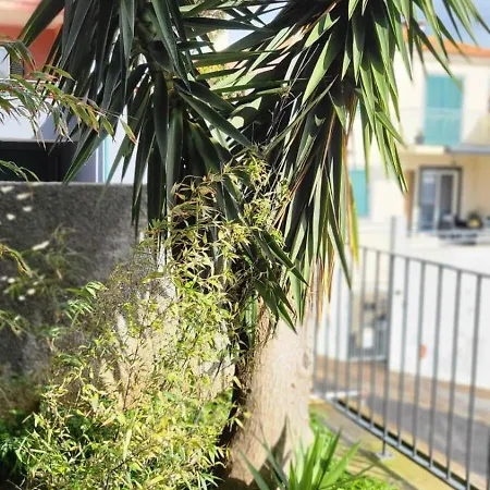 Personal Blue House Madeira Apartment