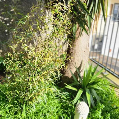 Personal Blue House Madeira