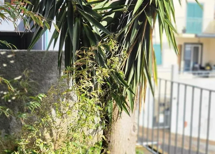 Personal Blue House Madeira Apartman