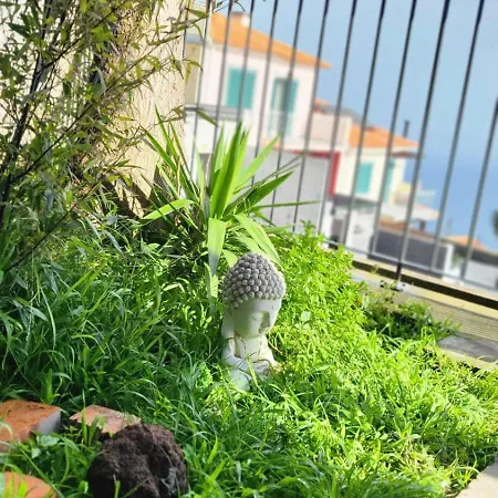 Apartmán Personal Blue House Madeira Santa Cruz (Madeira)