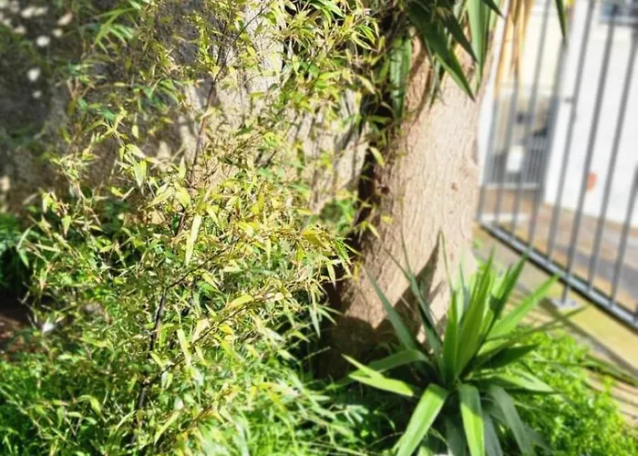 Personal Blue House Madeira